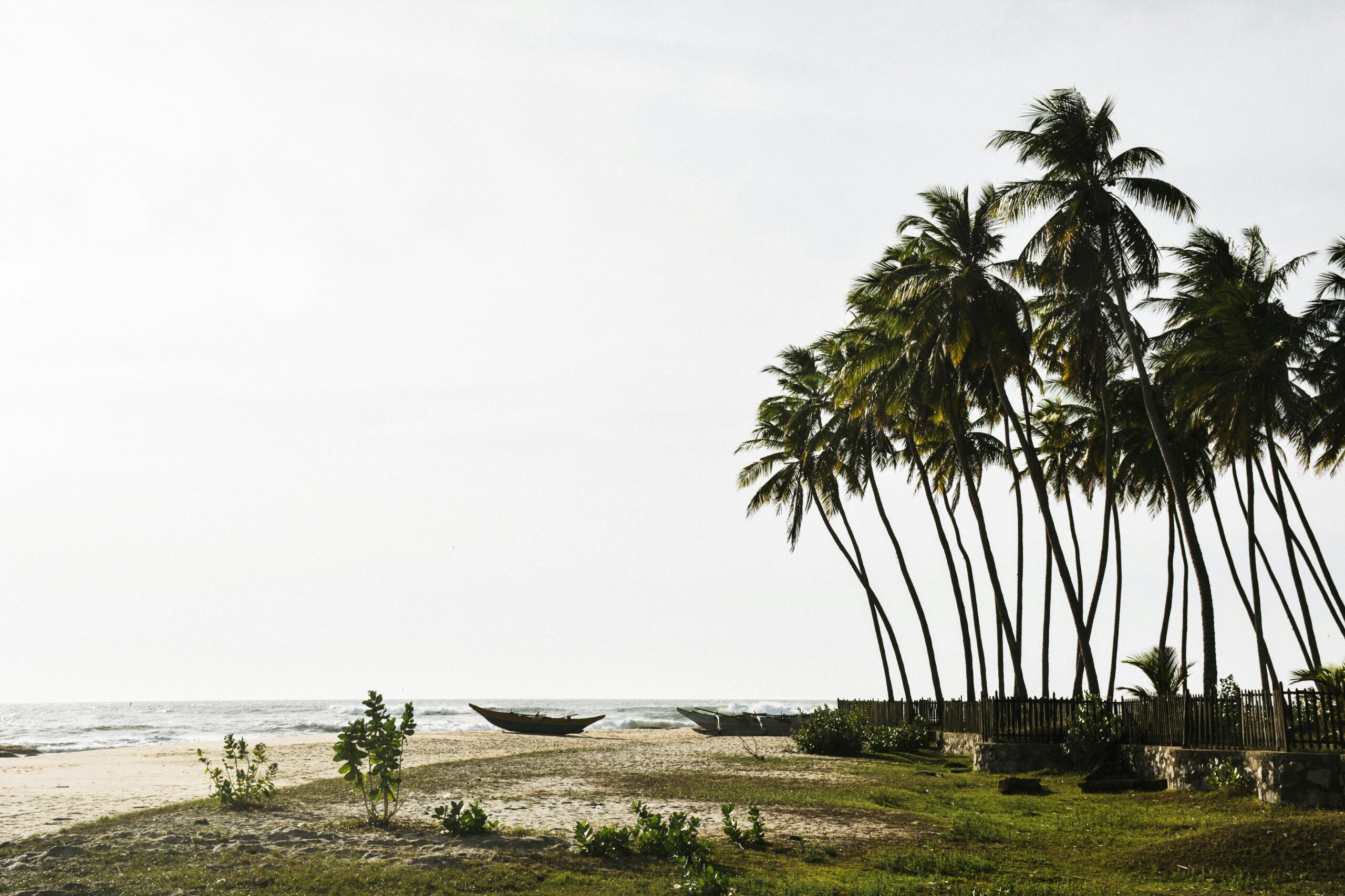 emily-goodhart-Ffe6eAVn6ko-unsplash emily-goodhart-Ffe6eAVn6ko-unsplash